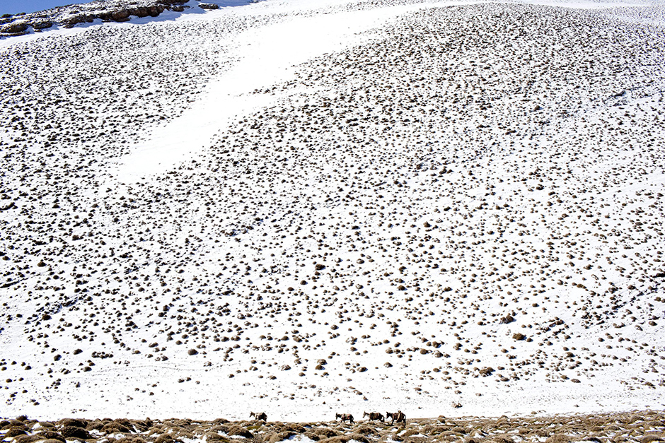 REUTERS/Youssef Boudlal