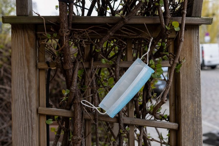 maska priroda 000_97L62A-750x500