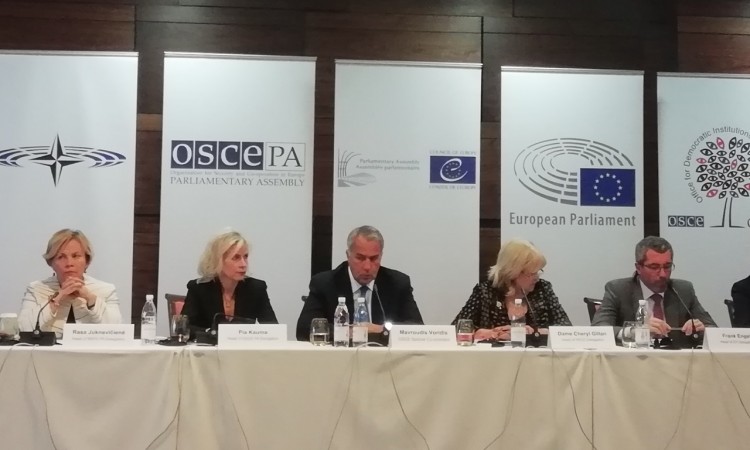 Medjunarodni_posmatraci