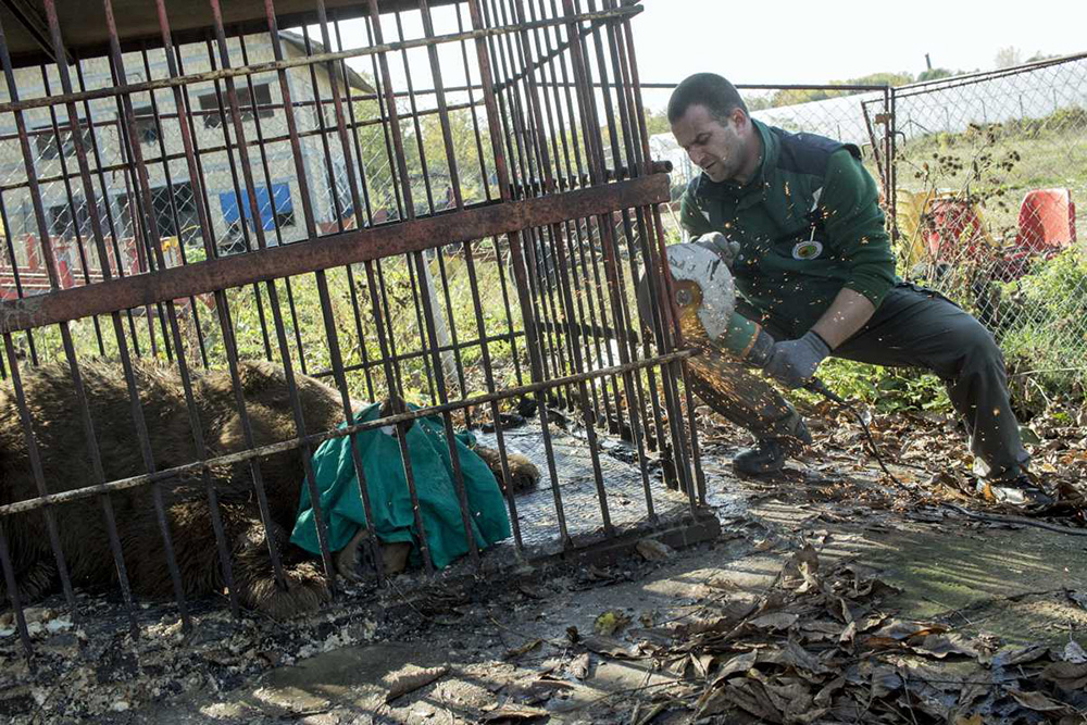 TANJUG/Ministarstvo poljoprivrede i zaštite životne sredine