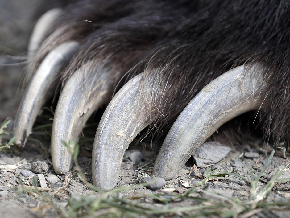 Tanjug/AP/Mike Groll