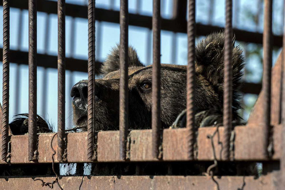 TANJUG/Ministarstvo poljoprivrede i zaštite životne sredine