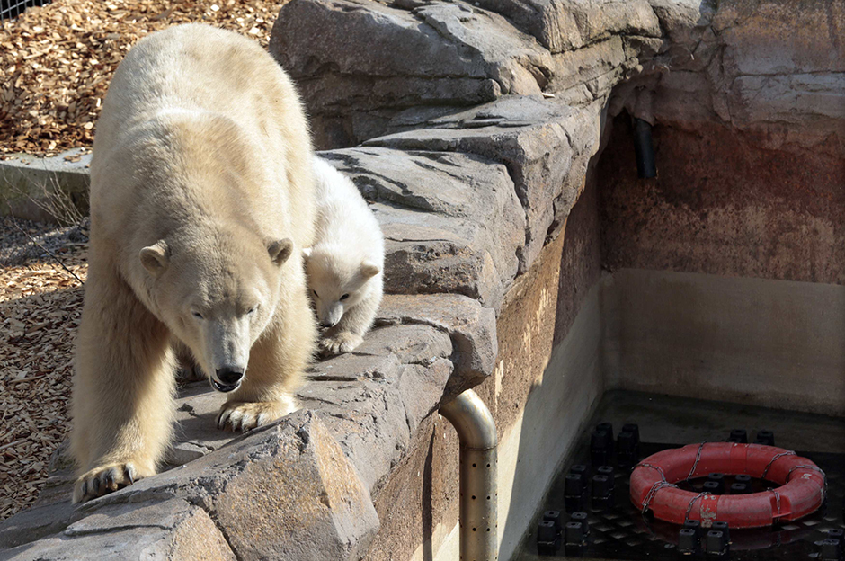 Reuters/Eric Gaillard