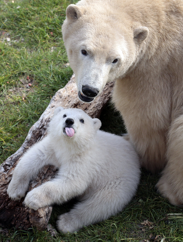 Reuters/Eric Gaillard