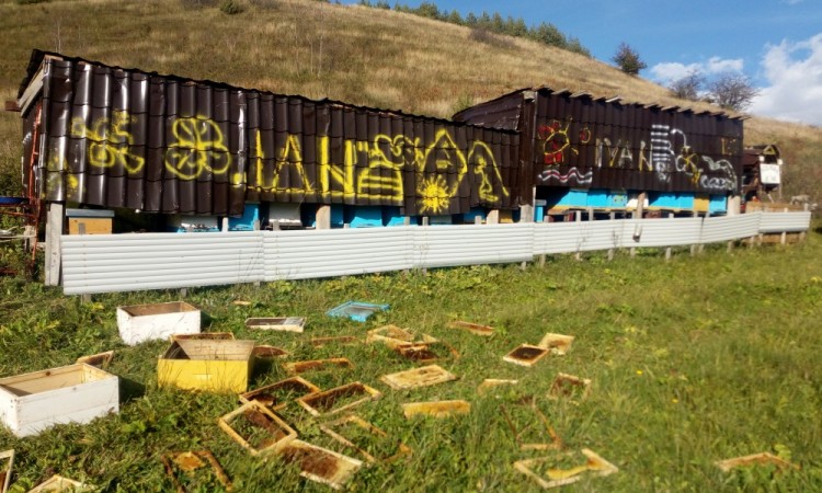 Medvjedi i pčelari - Mario Lončar