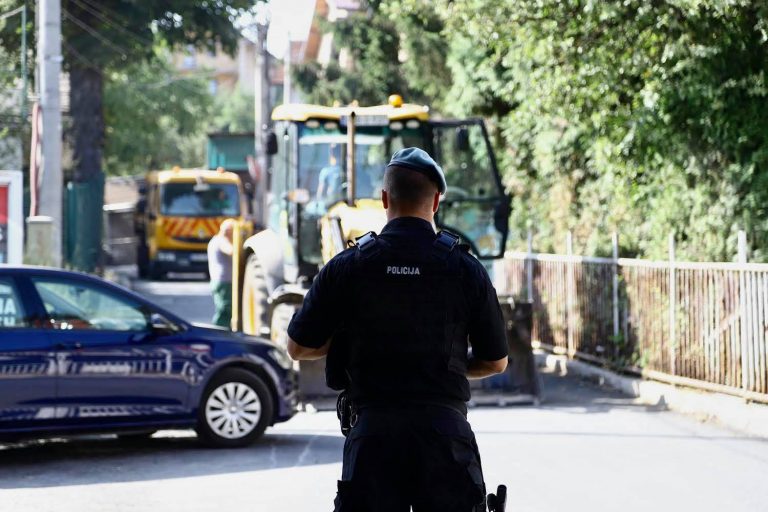 mehmedagic-3-768x512