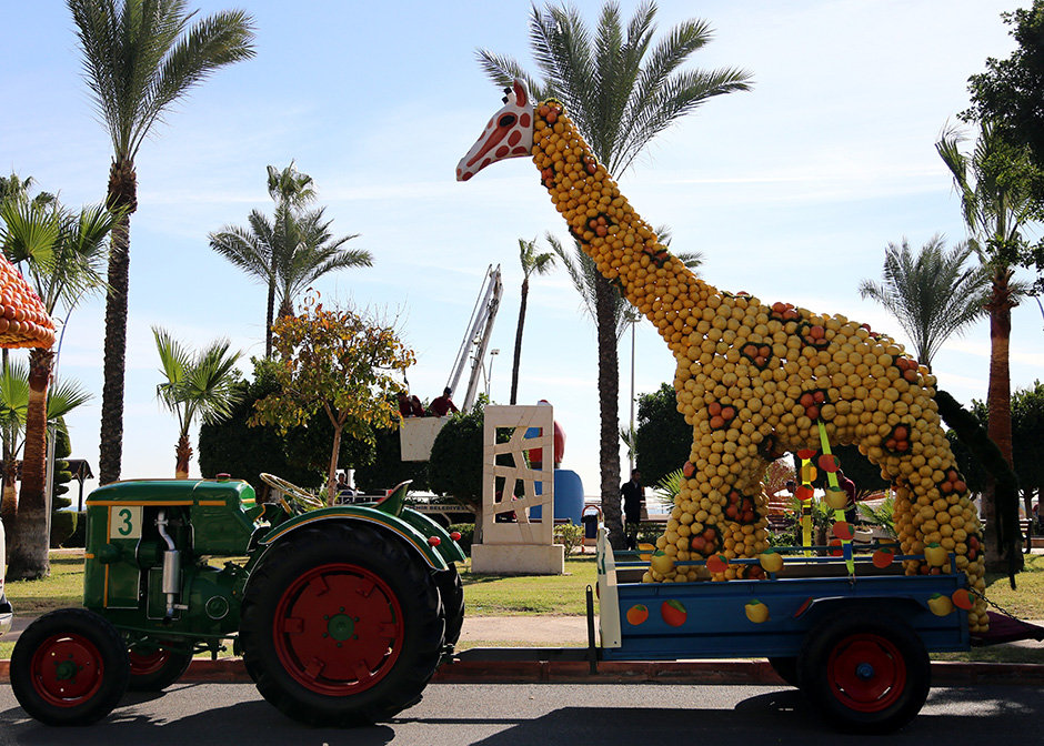 Mersin (2)