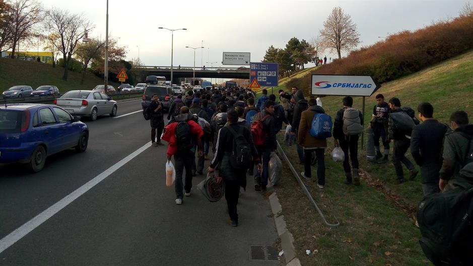 migranti