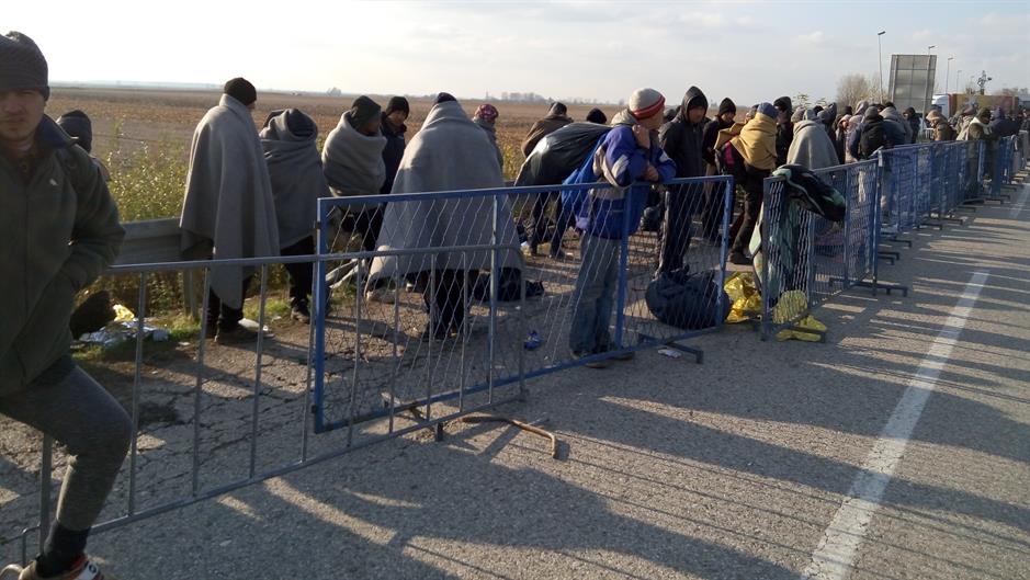 migranti
