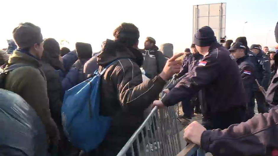 migranti