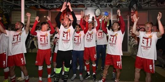 Milan Borjan, Crvena zvezda