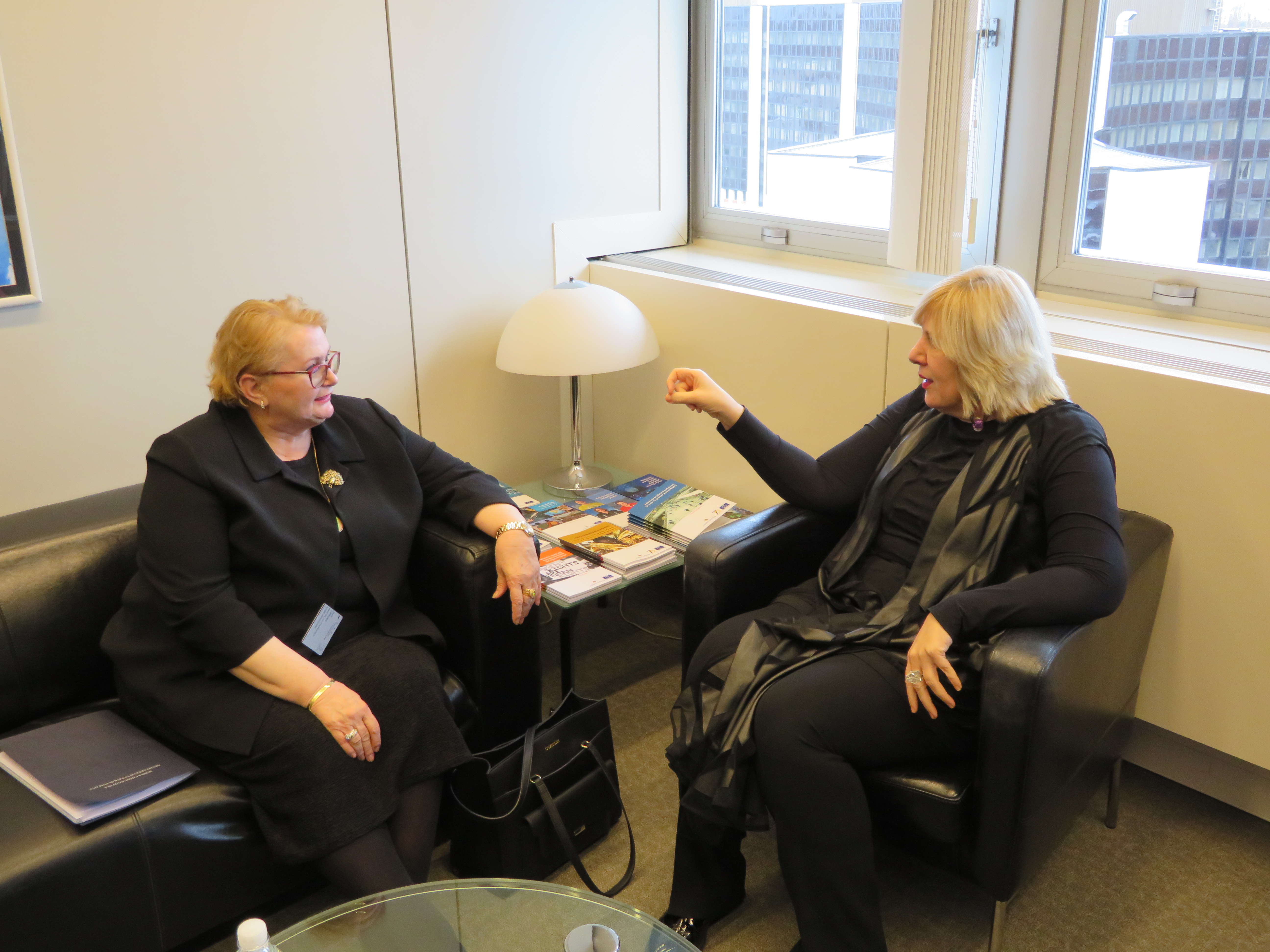 MinistricaDunjaMijatovic 2