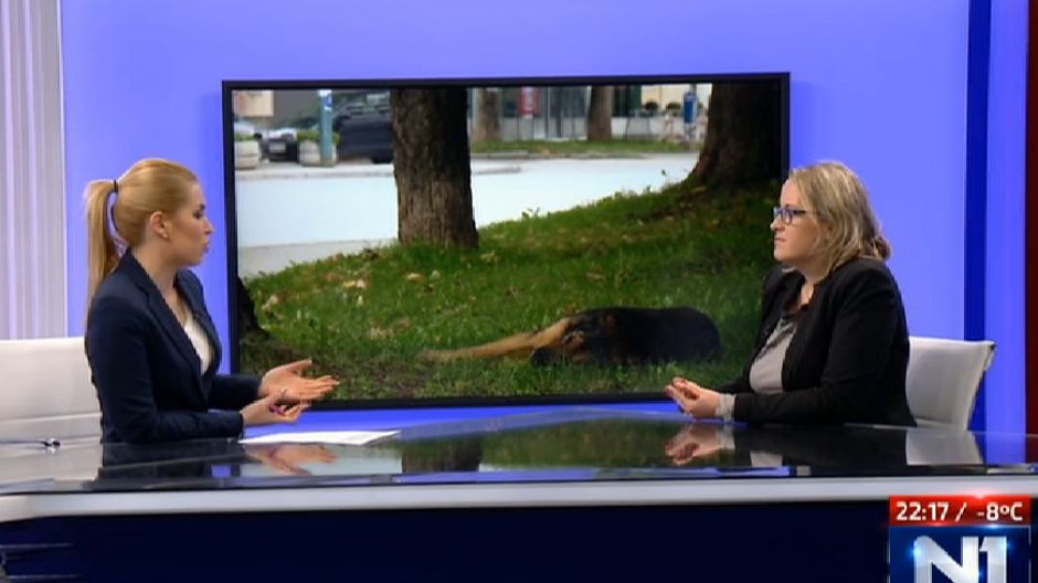 mirjana jovanovic-halilovic1