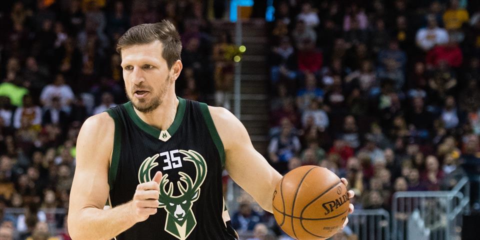mirza teletovic