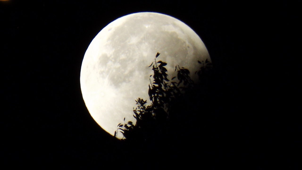 moon-961850_1280