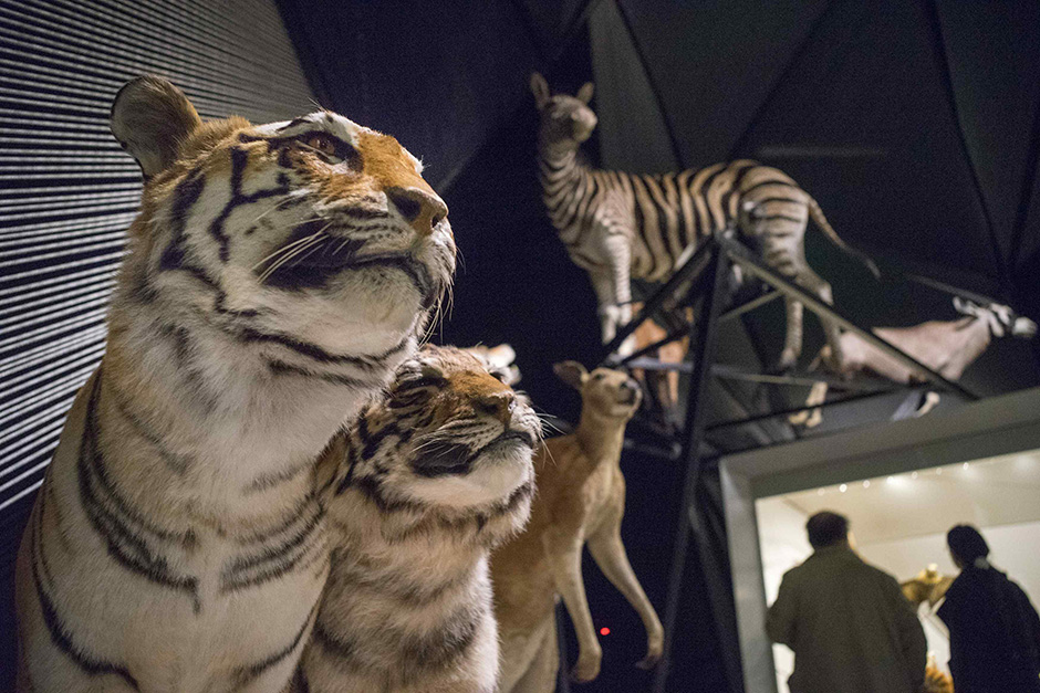 REUTERS/Robert Pratta