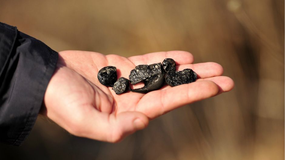 nafta hercegovina ana2