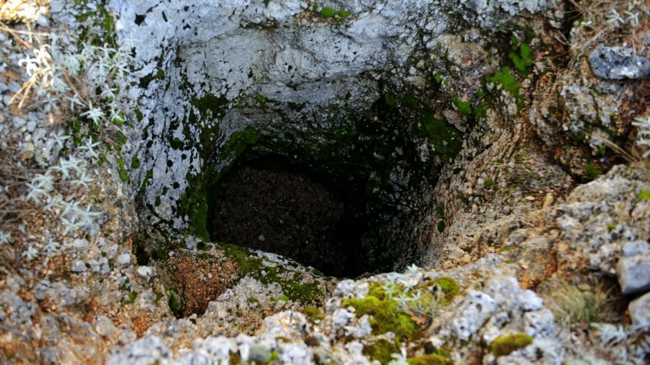 nafta hercegovina ana4