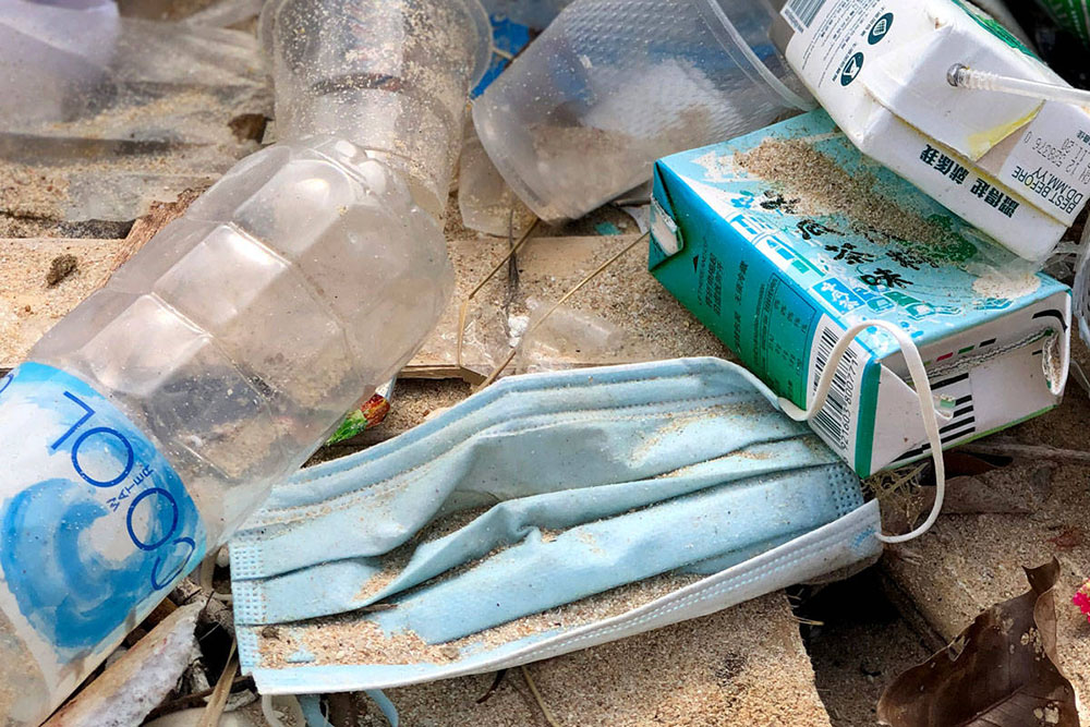 Naomi Brannan/OceansAsia