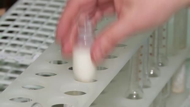 Nivo štetnog aflatoksina u bh