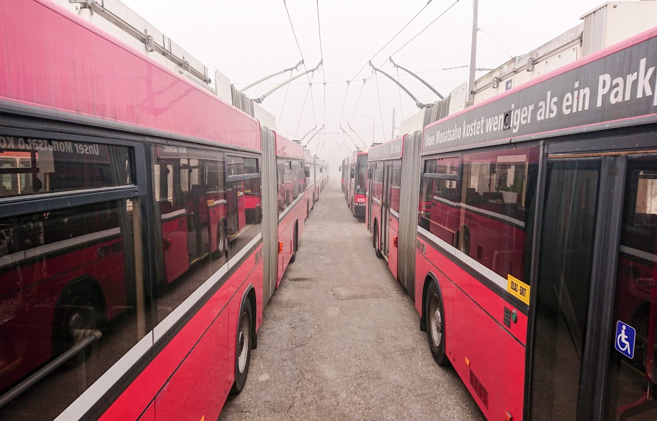 Novonabavljeni autobusi
