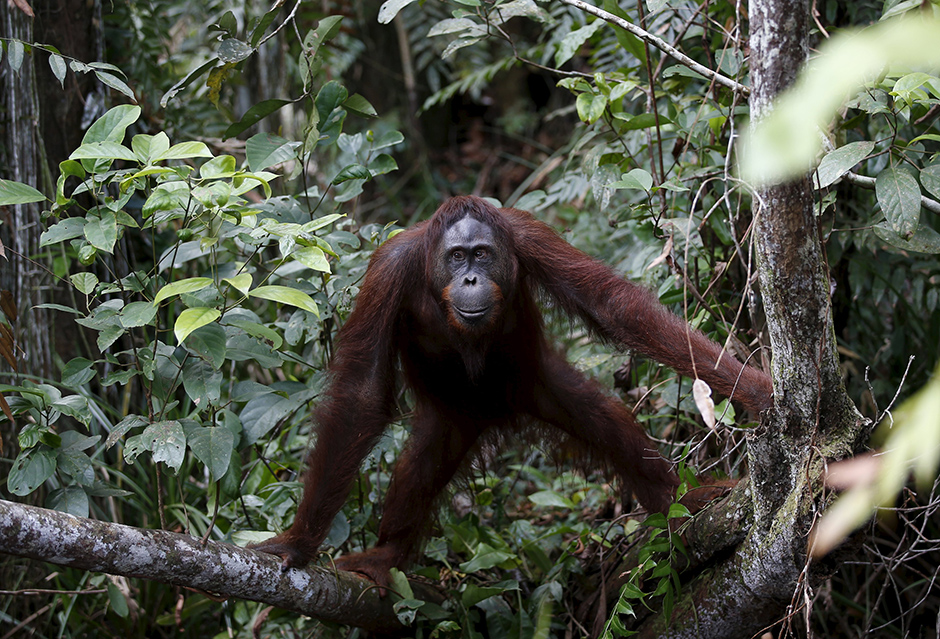 REUTERS/Darren Whiteside