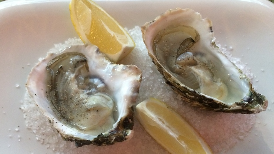 oysters-2092002-960-720-125382.jpeg