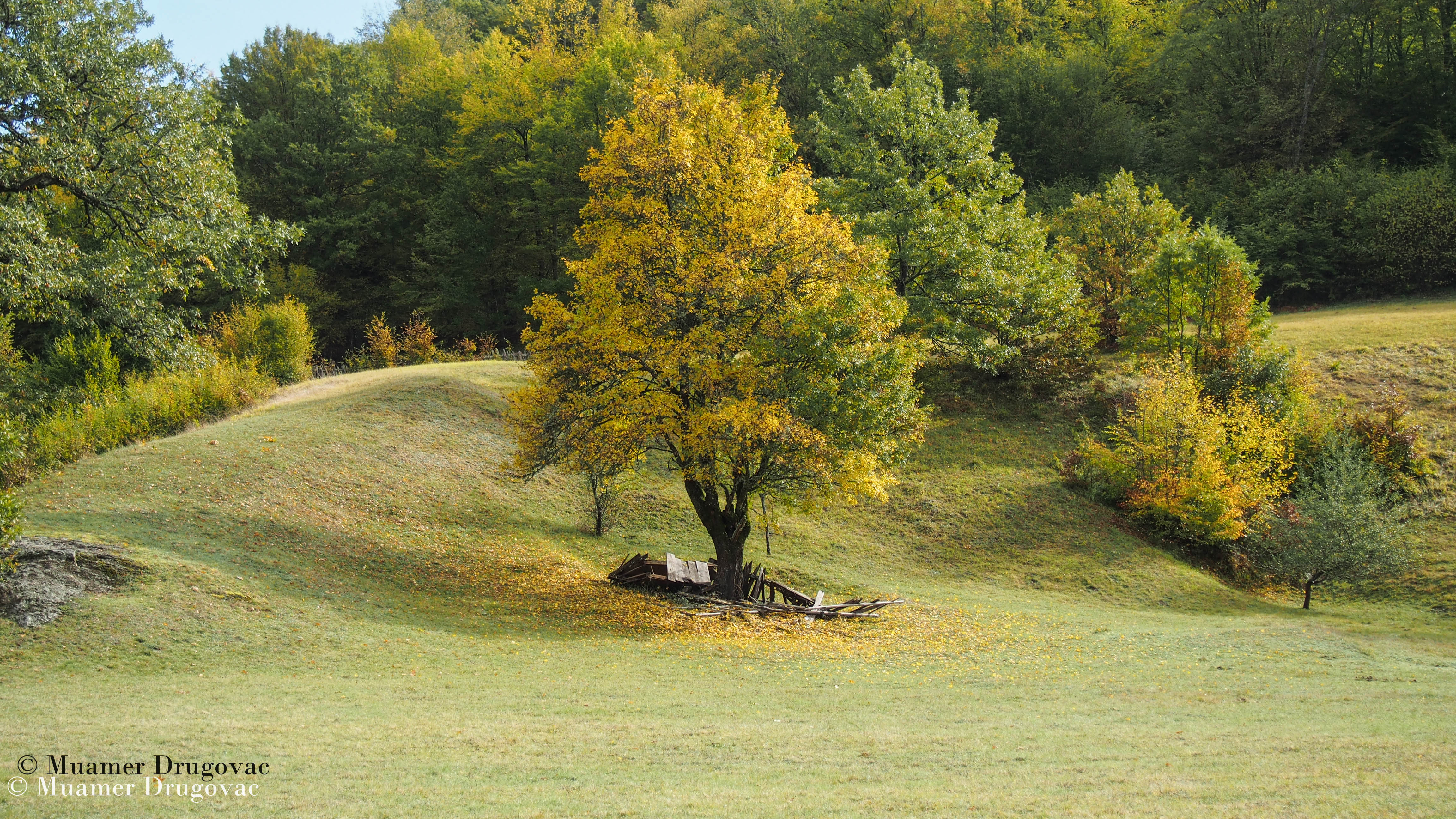 Muamer Drugovac / Avantur