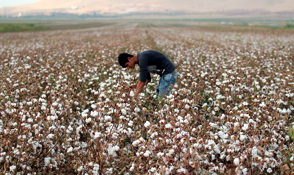 ANADOLIJA/Halil Fidan