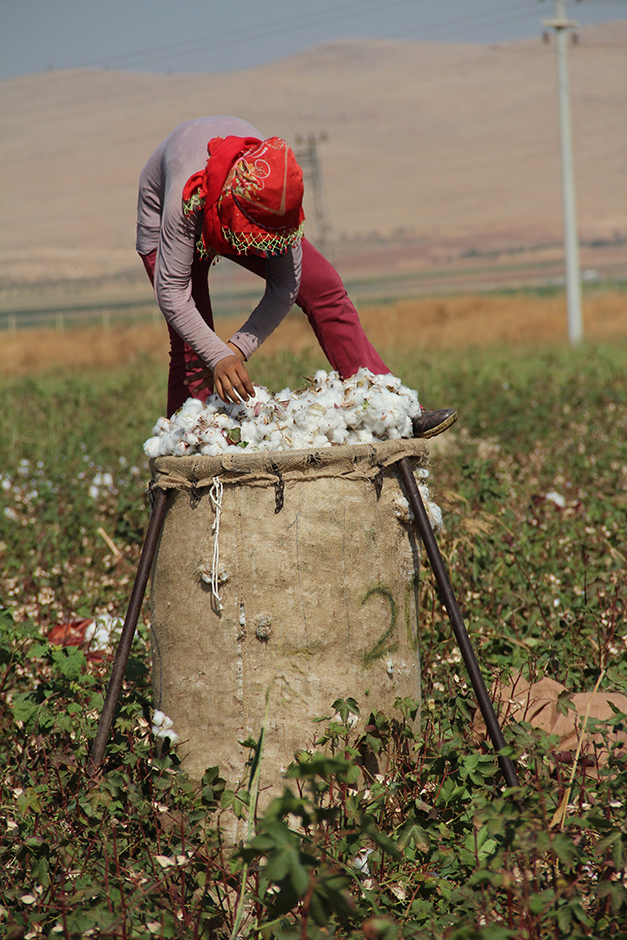 ANADOLIJA/Halil Fidan