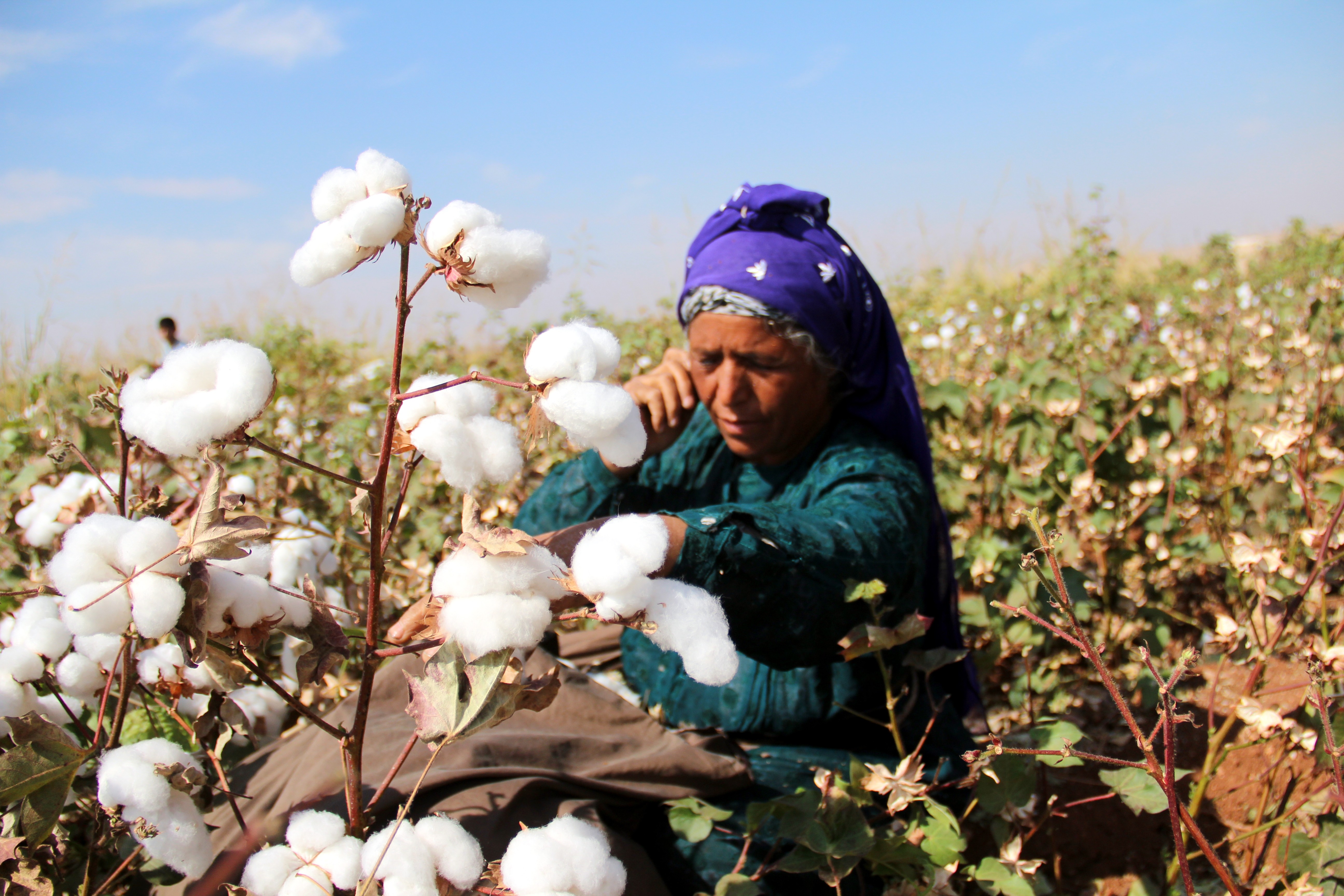 ANADOLIJA/Halil Fidan