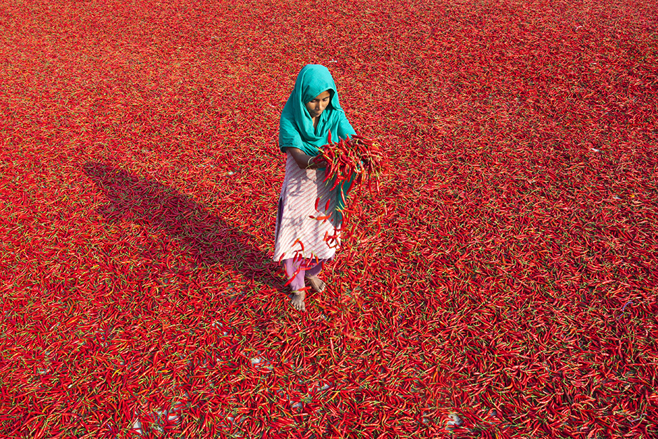 ANADOLIJA/Zakir Hossain Chowdhury