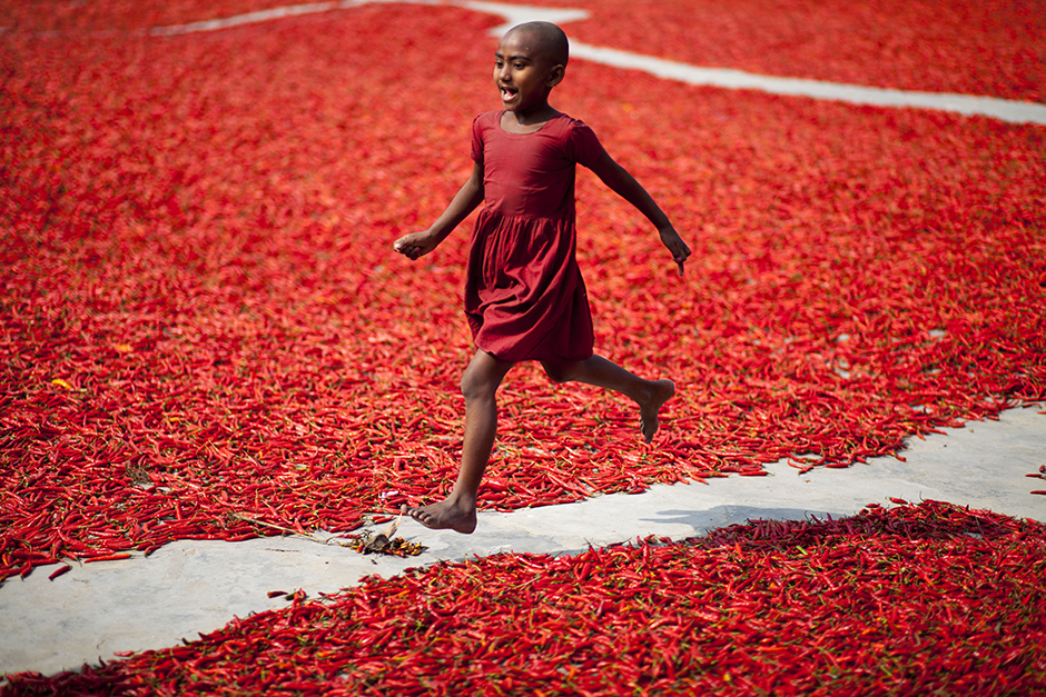 ANADOLIJA/Zakir Hossain Chowdhury