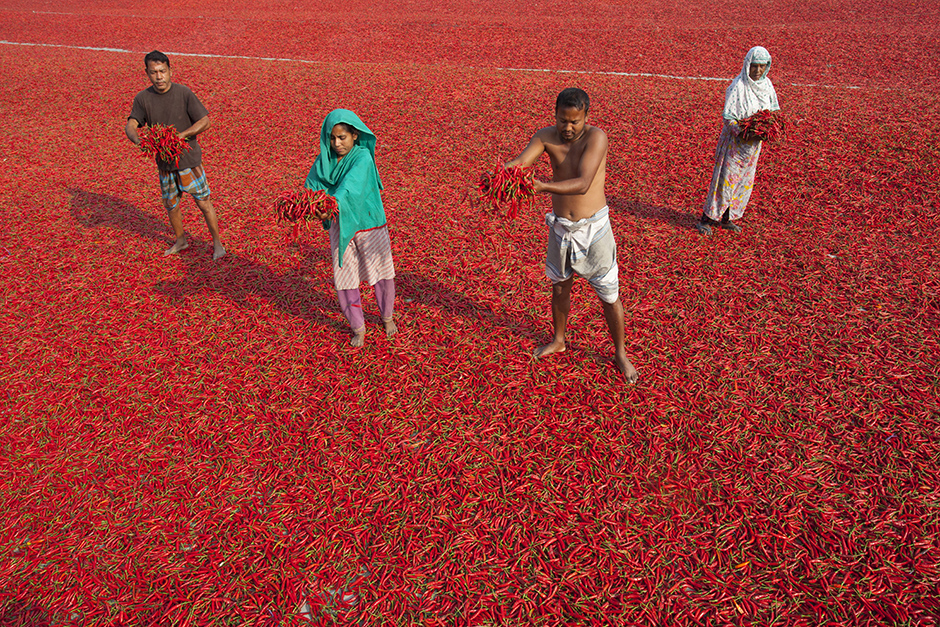 ANADOLIJA/Zakir Hossain Chowdhury