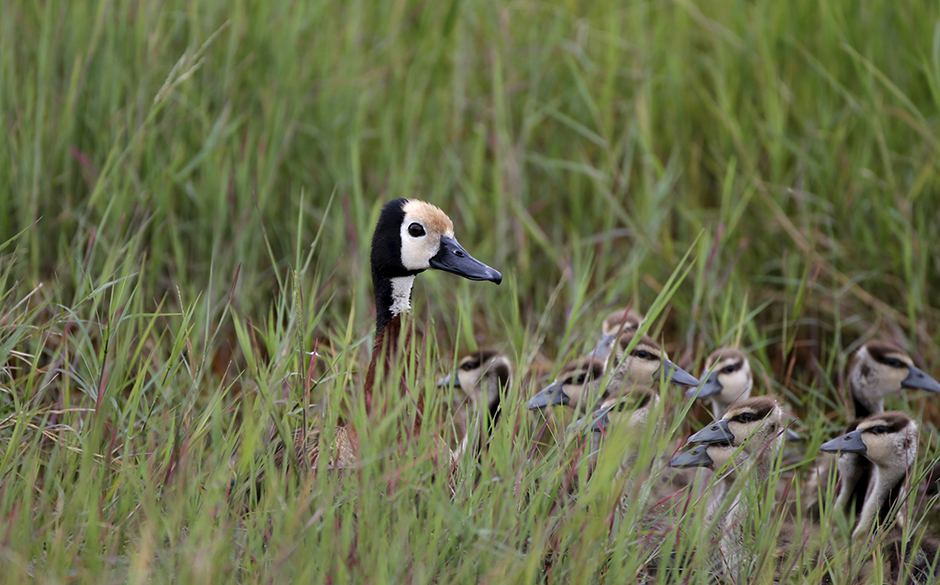 REUTERS/Goran Tomašević