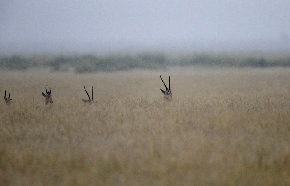 REUTERS/Goran Tomašević