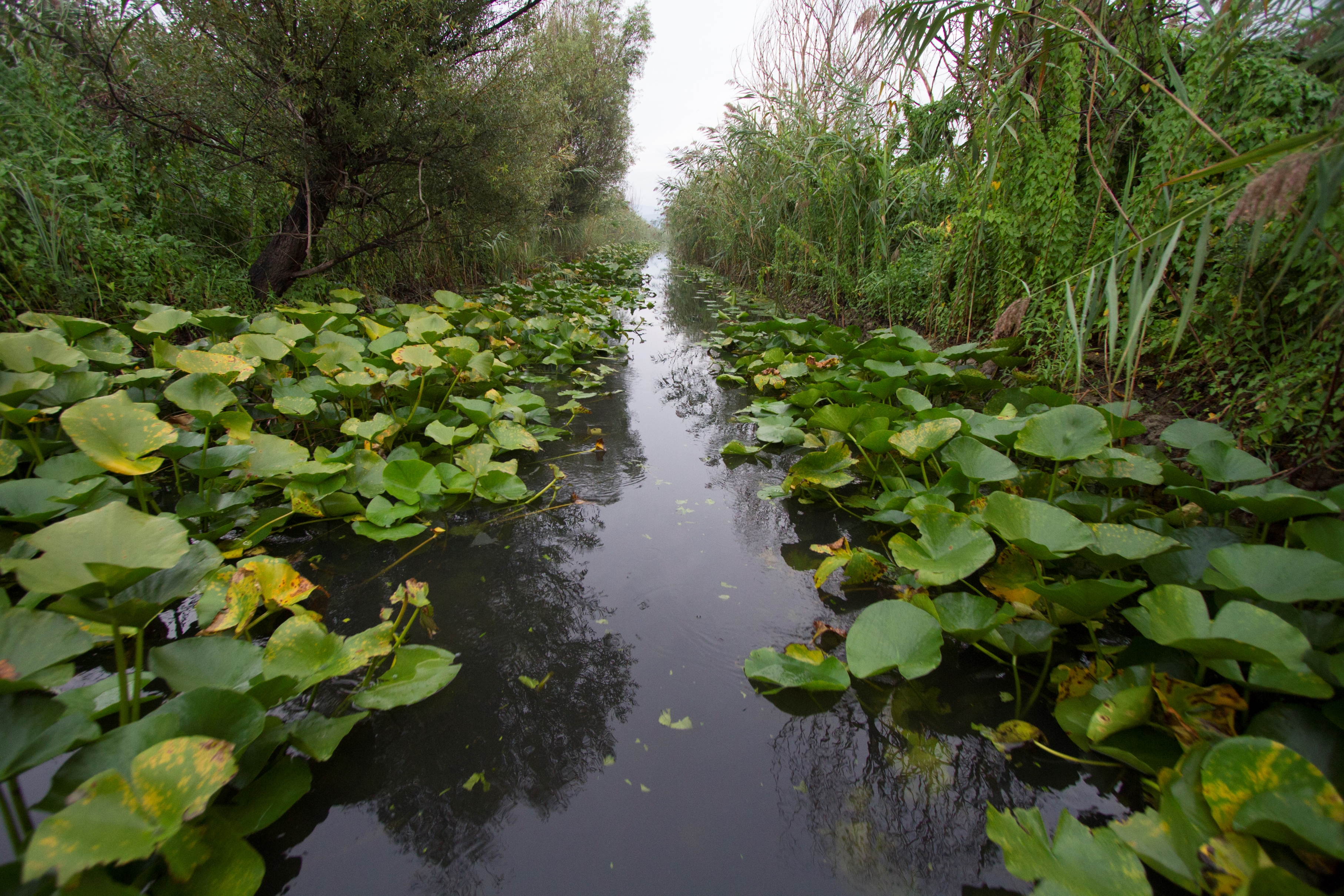 Park prirode Hutovo blato © Andrija Vrdoljak