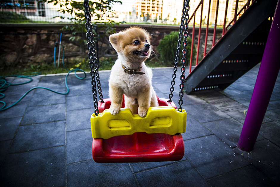 ANADOLIJA/Sergen Sezgin