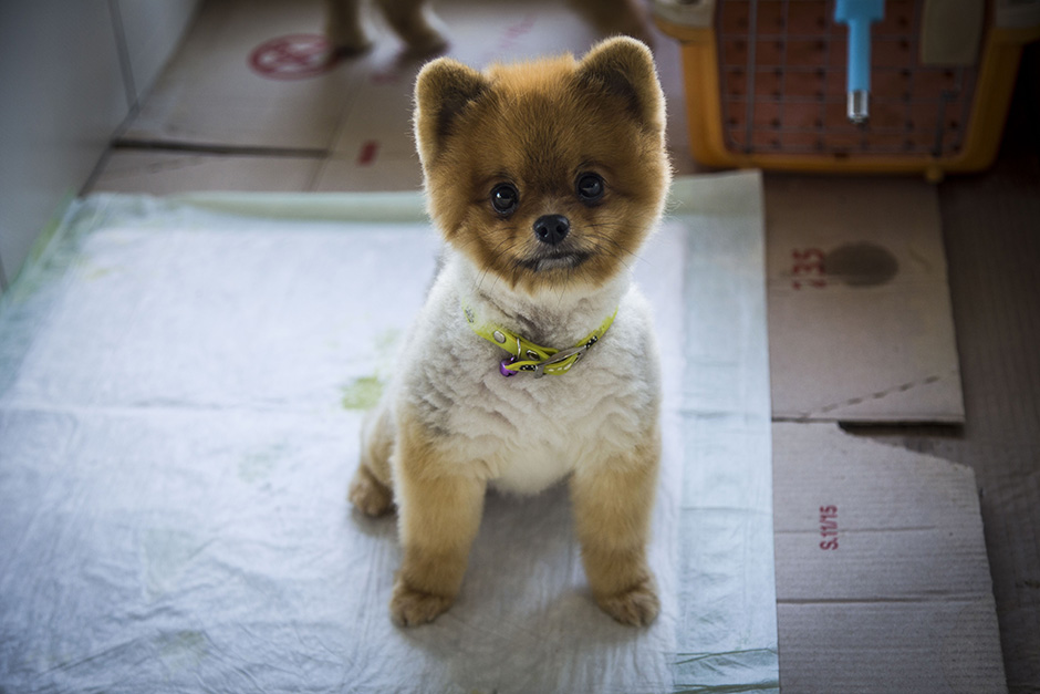 ANADOLIJA/Sergen Sezgin