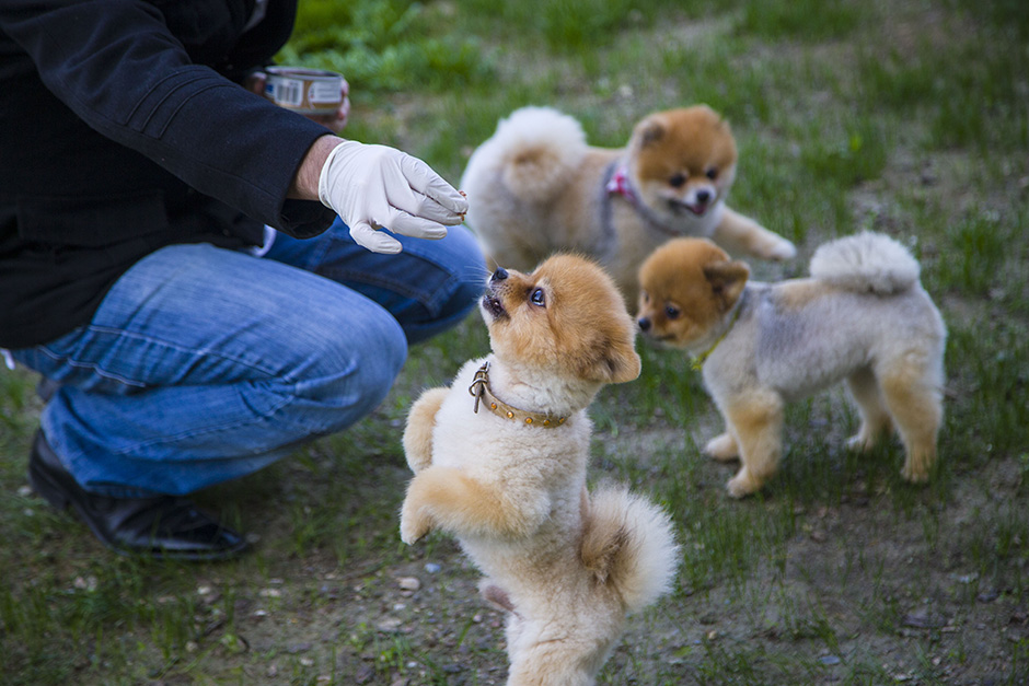 ANADOLIJA/Sergen Sezgin