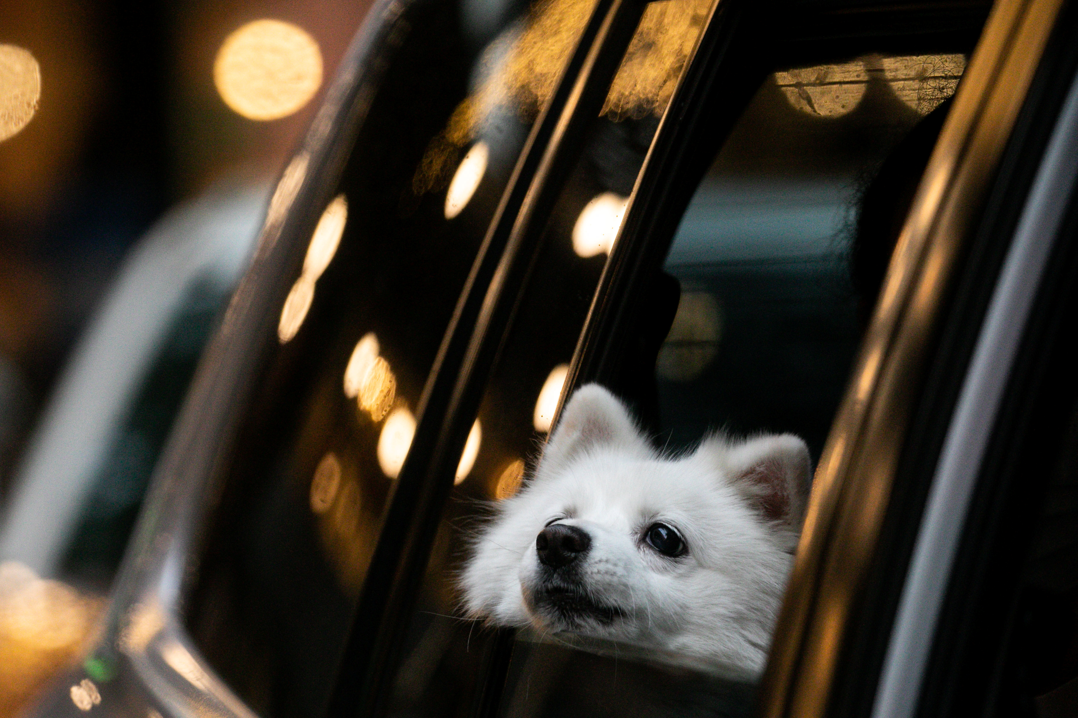 REUTERS/Eloisa Lopez