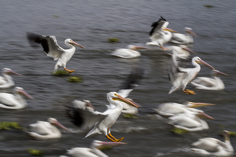 AFP/Hesctor Guerrero