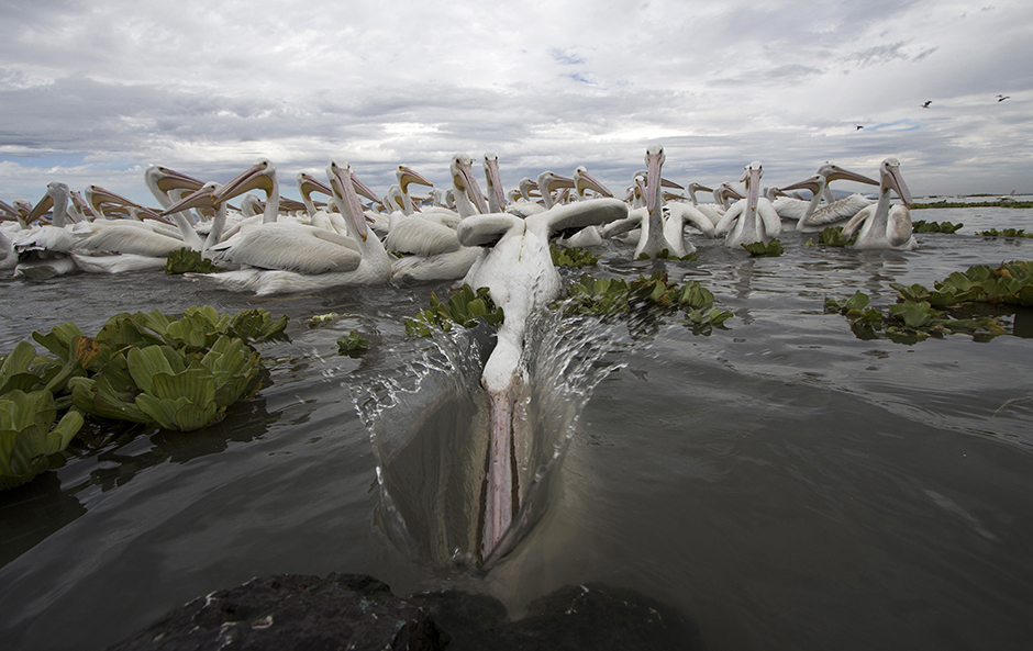 AFP/Hesctor Guerrero