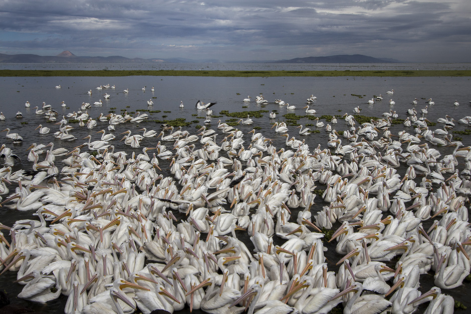 AFP/Hesctor Guerrero