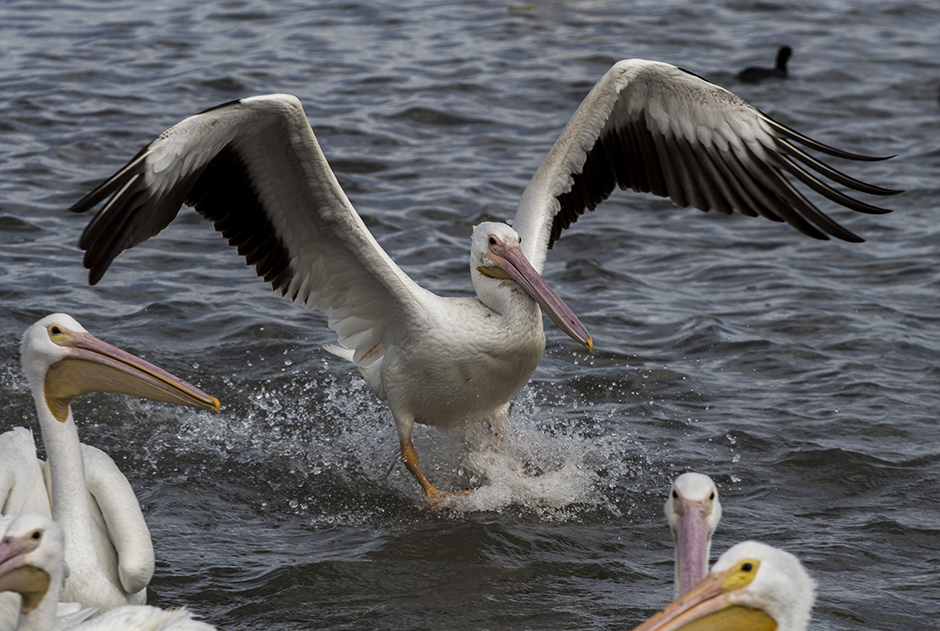 AFP/Hesctor Guerrero