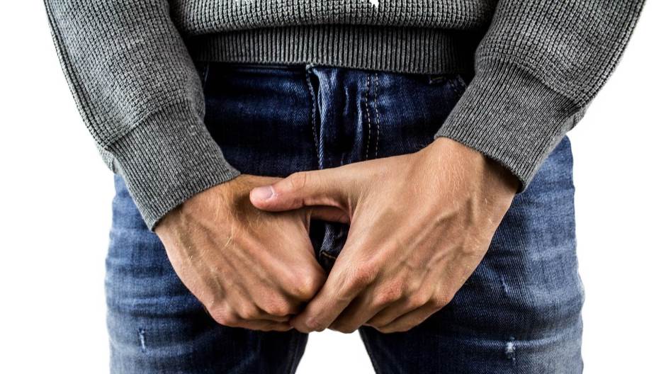 penis
