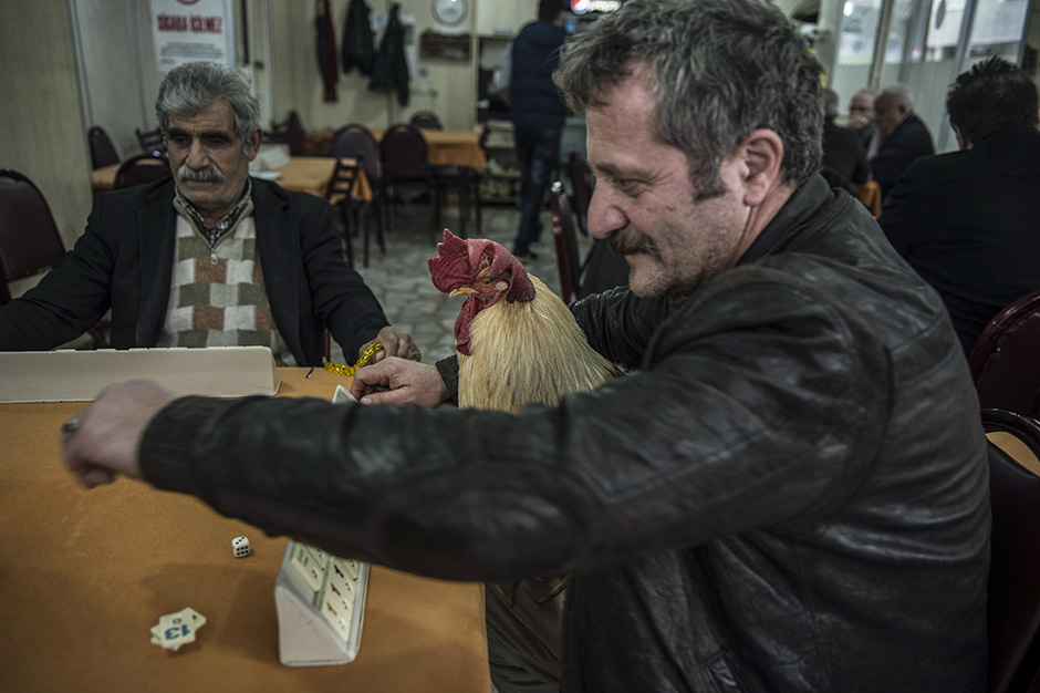 ANADOLIJA/Onur Coban