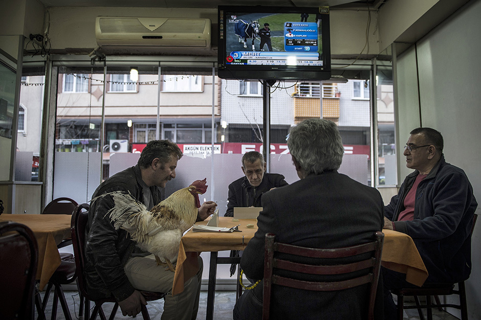 ANADOLIJA/Onur Coban