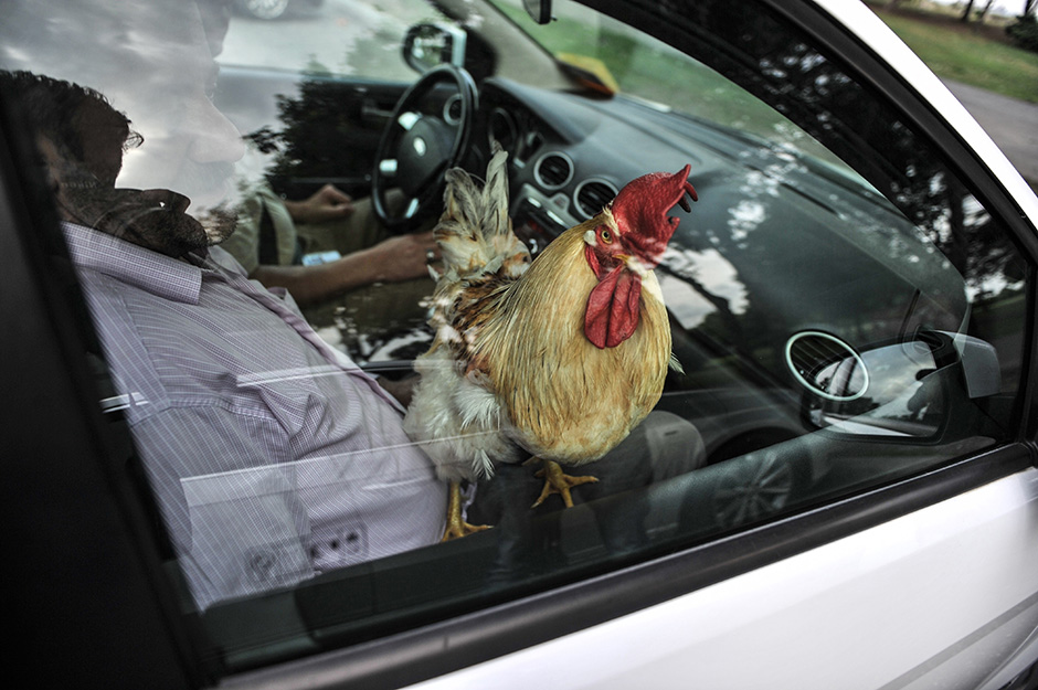 ANADOLIJA/Onur Coban