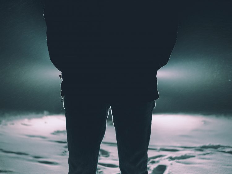 pexels-johannes-rapprich-769648-750x563